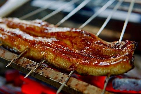 横山桂一さんのS級鰻　特大サイズ５尾（計900g）