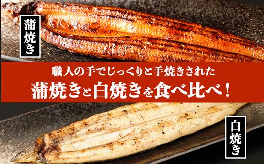 鹿児島県大隅産　千歳鰻の白焼5尾・蒲焼き5尾