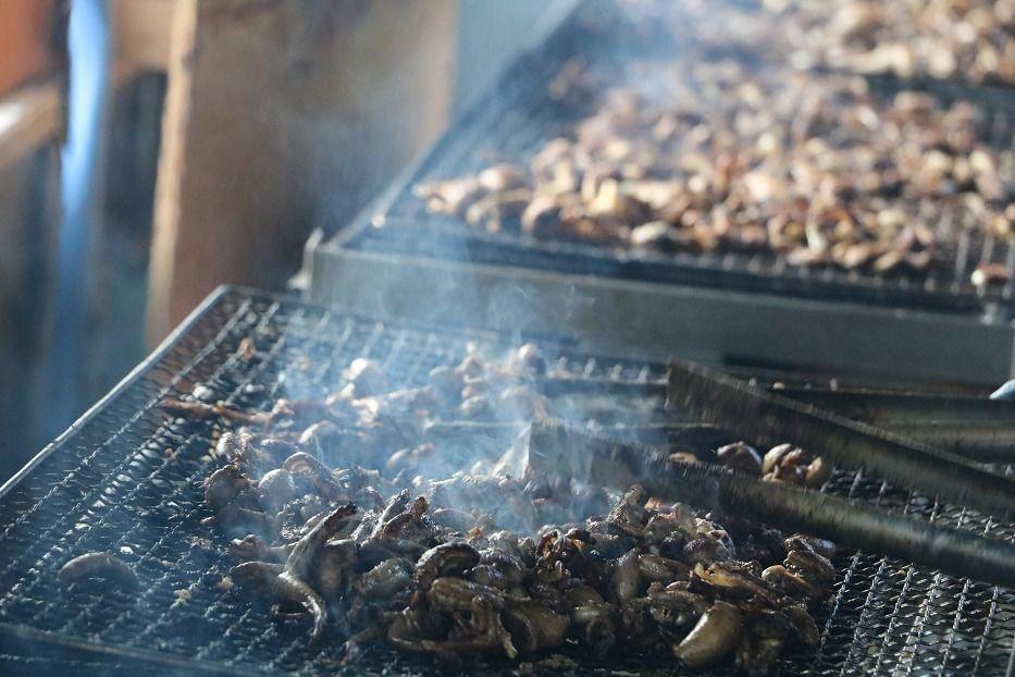 鹿児島県大隅産　千歳鰻の鰻焼肝５パックセット