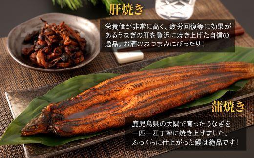 鹿児島県大隅産　特大うなぎ蒲焼200g 1尾・鰻の肝焼き100g×2袋 セット
