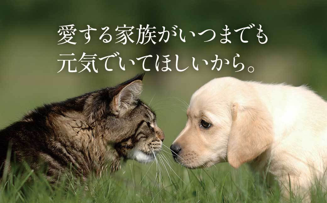 【鹿児島県大隅産】千歳鰻　うなぎの頭のペットフード　1袋3個入り×10袋	