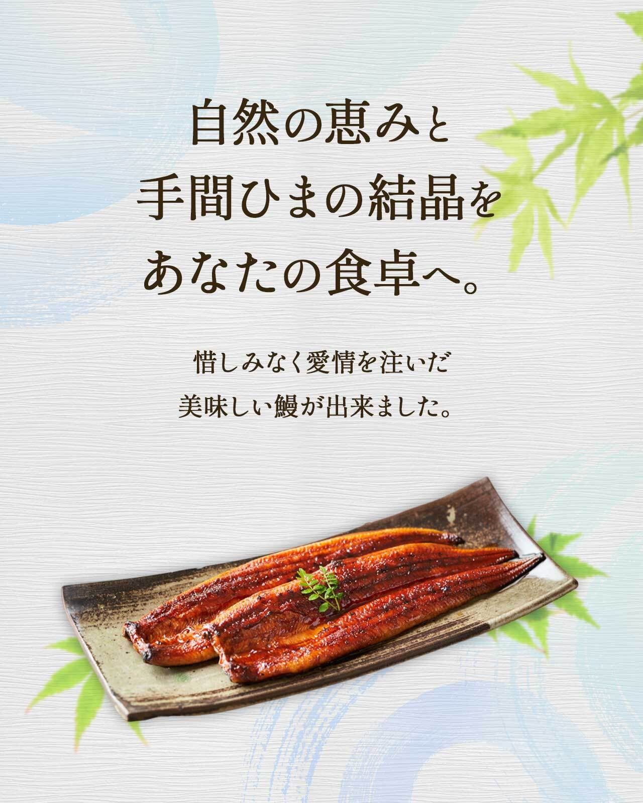 【年内発送】ふるさと納税限定　鹿児島県大崎町産 国産 うなぎ長蒲焼 2尾 計320g以上 | 鰻 うなぎ蒲焼き うな重 ひつまぶし ウナギ 蒲焼 人気 おすすめ 鹿児島 大隅半島 DU001　