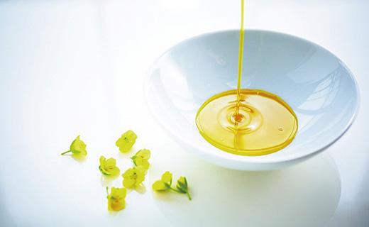 【270g×3本】純国産なたね油「鹿児島大崎ヤッタネ！菜ッタネ！」