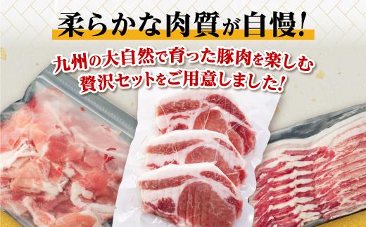 九州産豚肉3.1kg　3種セット　（豚バラスライス400g×3P　豚ロースとんかつ350g（3枚）×2P　豚モモウデ切り落とし300g×4P）