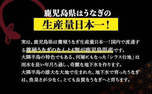 鹿児島県大隅産　千歳鰻の白焼1尾・蒲焼き1尾　合計2尾セット