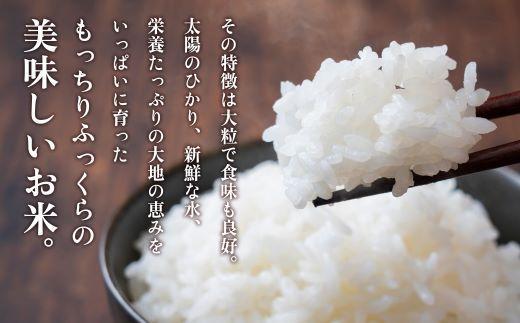 【精米】令和7年産 大崎産「なつほのか」10kg