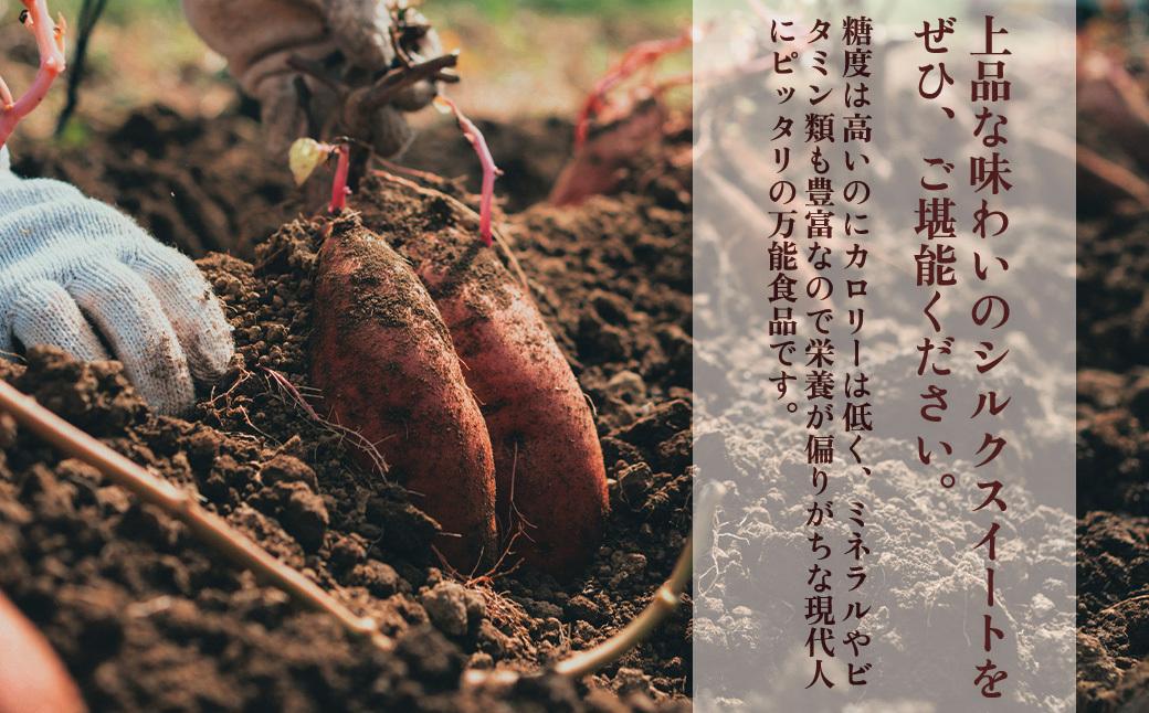 【先行予約】訳アリ！しっとり食感！シルクスイート　2kg