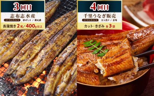 大崎町うなぎ食べ比べ定期便　全8回