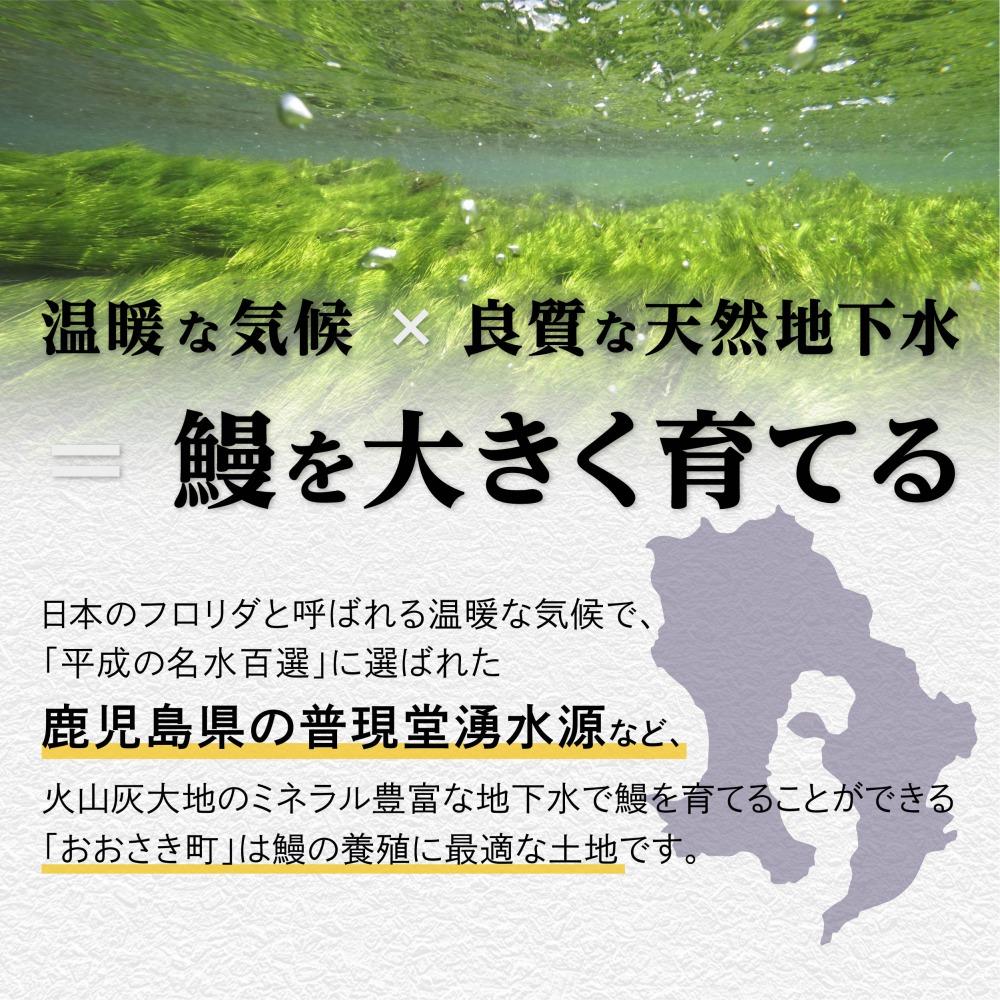 鹿児島県産うなぎの肝 山椒煮 75g×8袋（計600g）