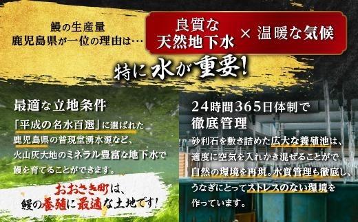 鹿児島県産うなぎ長蒲焼4尾 たれ たっぷり8袋付 鰻 国産うなぎ蒲焼き うな重 ひつまぶし ウナギ 蒲焼 おおさきうなぎ 人気 おすすめ  ふるさと納税 鹿児島県 鹿屋市 鹿屋 の近く 大崎町 | うなぎ うなぎ 鰻 ウナギ うなぎ うなぎ 鰻 ウナギ うなぎ うなぎ 鰻 ウナギ うなぎ うなぎ 鰻 ウナギ うなぎ うなぎ 鰻 ウナギ うなぎ うなぎ 鰻 ウナギ うなぎ うなぎ