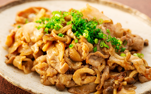 鹿児島県産黒豚「優美豚」肩・モモ・こま切れ・ミンチセット