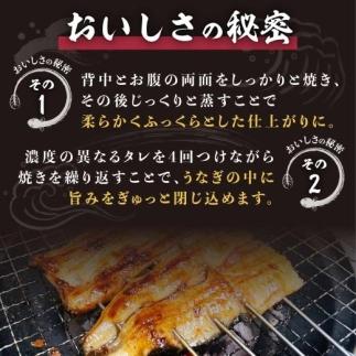 【年内発送】くすだ屋の鰻2尾_150gx2