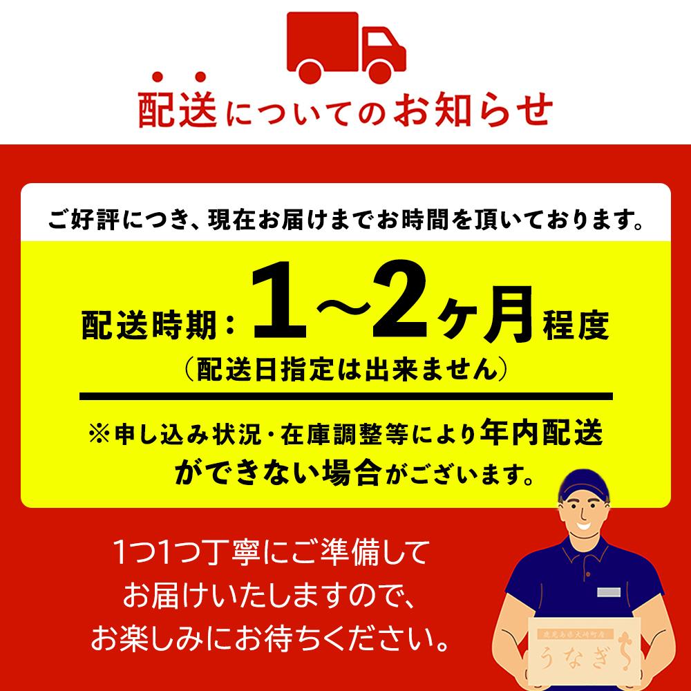鹿児島県産うなぎ長蒲焼9尾（合計1.5kg以上）