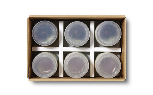 桑抹茶ぷりんシリーズ食べ比べ～桑美茶桑実ぷりん・桑抹茶とアボガドのカタラーナ～