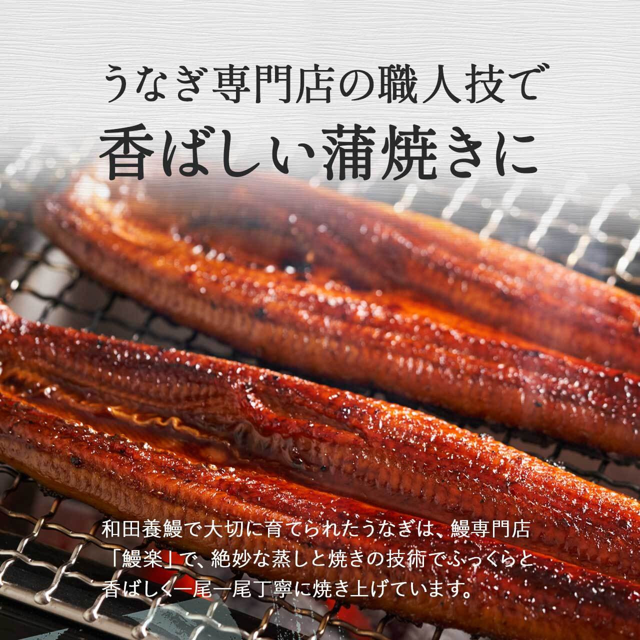 【年内発送】ふるさと納税限定　鹿児島県大崎町産 国産 うなぎ長蒲焼 2尾 計320g以上 | 鰻 うなぎ蒲焼き うな重 ひつまぶし ウナギ 蒲焼 人気 おすすめ 鹿児島 大隅半島 DU001　
