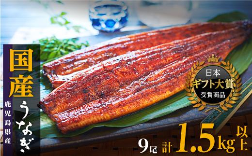 鹿児島県産うなぎ長蒲焼9尾（合計1.5kg以上）