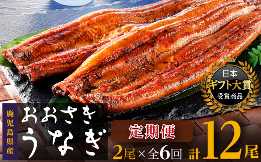【定期便】おおさきうなぎ鹿児島県産うなぎ長蒲焼2尾（全6回）合計12尾