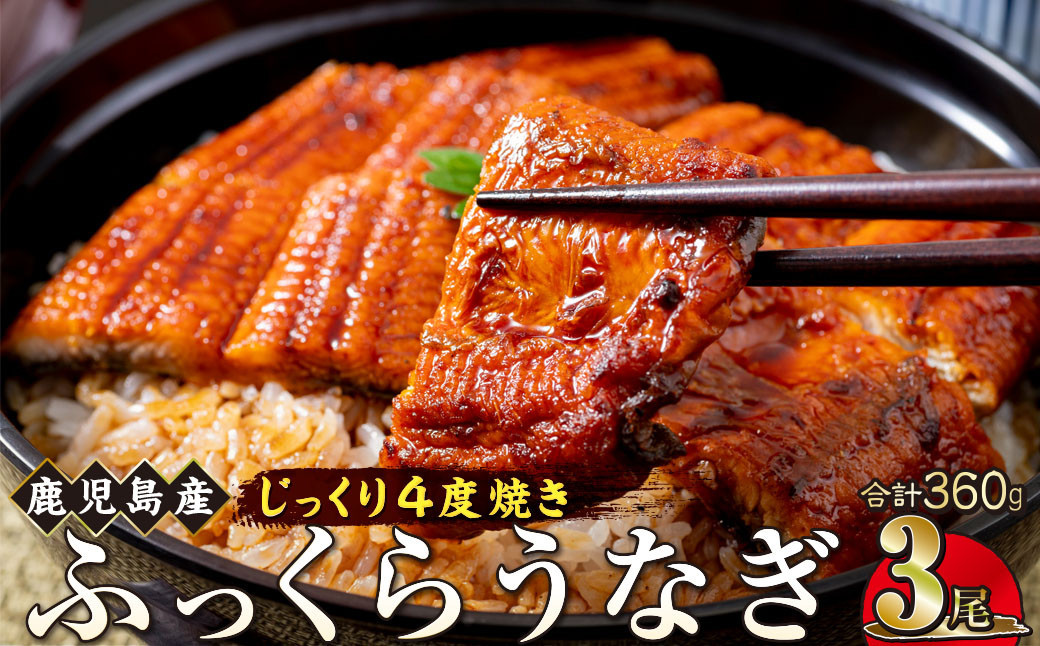 うなぎ 蒲焼 120g×3尾【鹿児島産】地下水で育てた絶品鰻