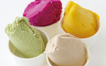 鹿児島の恵みで作ったジェラート10種類セット