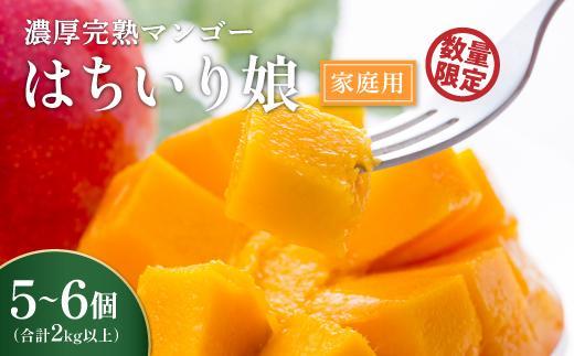 【数量限定/先行予約】 マンゴー「はちいり（鉢入り）娘」（ご家庭用2kg箱入り）