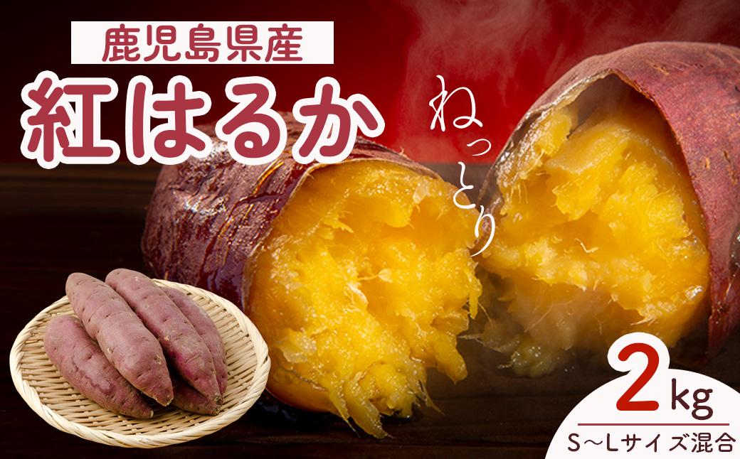 【先行予約】訳アリ！紅蜜芋　紅はるか　2kg
