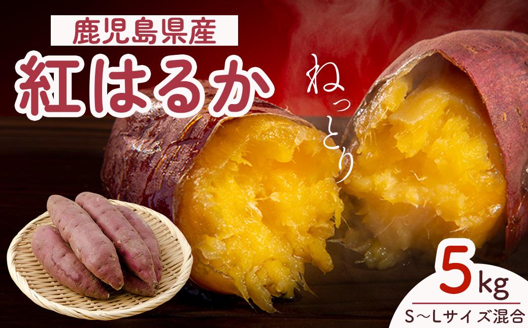 【先行予約】訳アリ！紅蜜芋　紅はるか　5kg