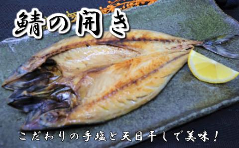 №1084-1 一代目から続く製法！大満足の旬の干物セット