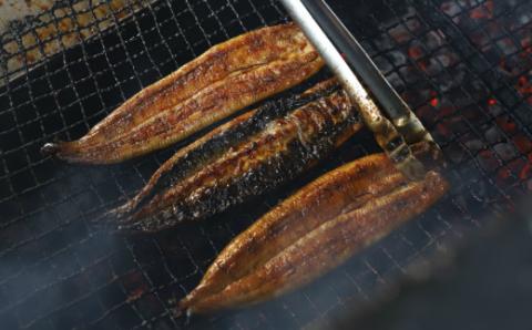 №1023-1 きめいかん　うなぎ（A）