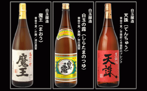 №10004-1 大隅蔵めぐり　飲み比べ一升瓶10本セット