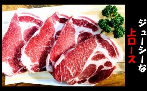 №1132-3 【かごしま黒豚】トンカツ用＜上ロース＞