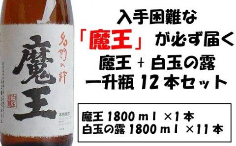 №10001-1 【幻の魔王と伝統の白玉の露】白玉醸造の銘酒12本セット