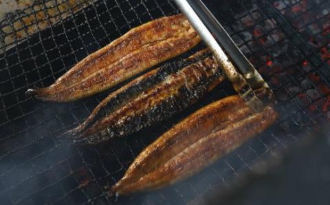 №3012-1 きめいかん　うなぎ（C）