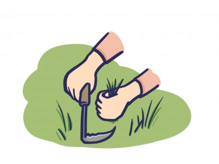 №4011-1 お墓の掃除代行+献花サービス　2回分