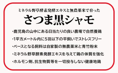 【3ヶ月定期便】TK-140-1 さつま黒シャモたたき（200ｇ入）×2パック