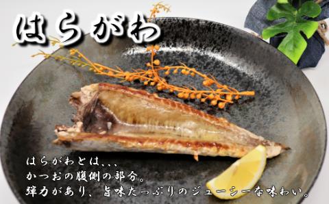 №1084-1 一代目から続く製法！大満足の旬の干物セット