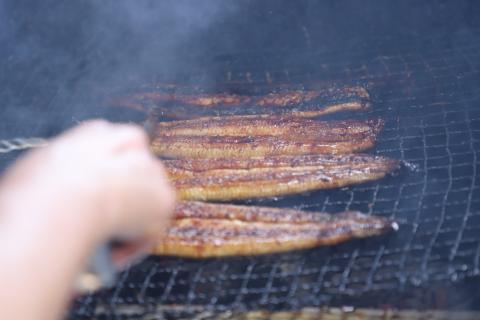 №1023-1 きめいかん　うなぎ（A）