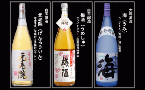 №10004-1 大隅蔵めぐり　飲み比べ一升瓶10本セット