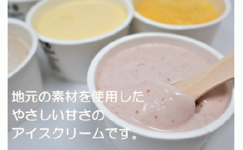 №1018-1 ご当地アイスセット