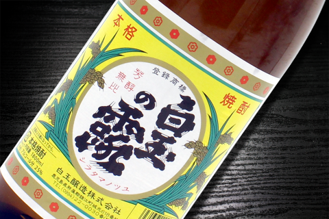 №5025-1 薩摩の名門　白玉五人衆　一升瓶５本セット