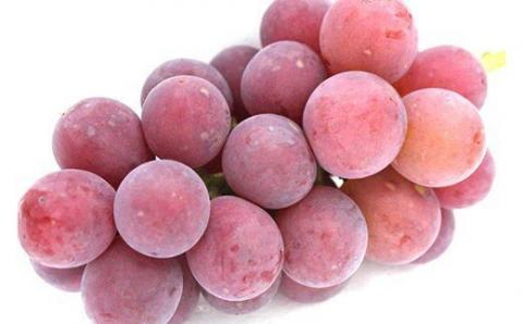 No.1191-1　クラシックぶどう【3種セット】約３kg入り（3～6房）