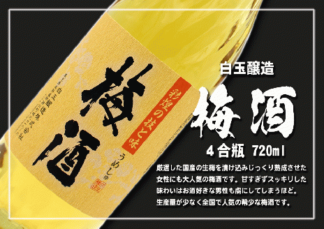 №4037-1 A4等級以上！鹿児島黒牛サーロインステーキ＆魔王＆梅酒　Aセット