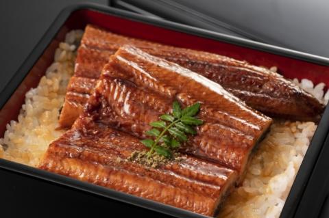 №1023-1 きめいかん　うなぎ（A）