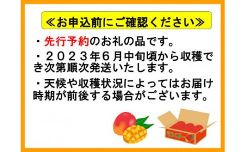 No.1186-3 完熟マンゴー（2L～3L×2個）