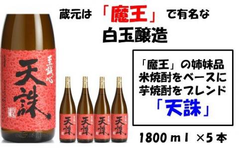 №4020-1 【魔王の姉妹品】白玉醸造の「天誅」5本セット