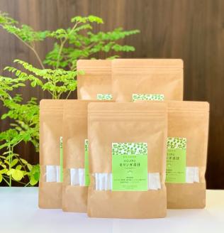 No.4042-1 モリンガ青汁　20本入×6袋