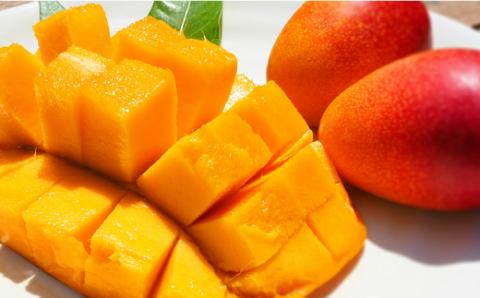 No.1195-3 完熟マンゴー（Ｌ～2Ｌ×2個）