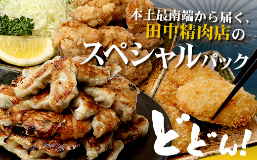 佐多の田中肉屋 スペシャルパック（餃子・コロッケ・味付唐揚げ）冷凍便 TA-405 | 国産 お惣菜 手作り 餃子 ギョーザ やみつき ニンニク から揚げ 若鶏唐揚げ 鶏肉 揚げるだけ コロッケ 大容量 おかず 弁当 おつまみ 保存料不使用 簡単調理 産地直送 鹿児島県 南大隅町 田中精肉店 