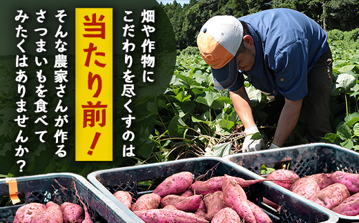 【鹿児島県産】 熟成 紅はるか 3kg (1箱 ) Sサイズ さつまいも【2025年11月下旬より順次発送】FR-211