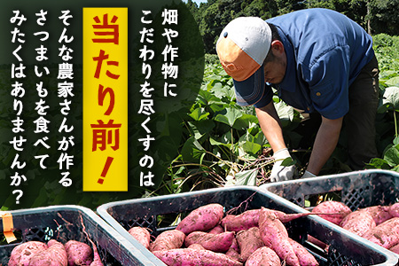 【鹿児島県産】熟成 紅はるか 5kg (1箱 ) Sサイズ さつまいも 【2025年11月下旬より順次発送】FR-212