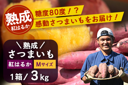 【先行予約・2025年11月下旬より順次発送】鹿児島県産 熟成 紅はるか 3kg (1箱 ) Mサイズ (おすそ分け袋／美味しい焼き芋の焼き方 説明書付き） FR-213 | さつまいも サツマイモ 焼き芋 べにはるか おやつ 煮物 芋ごはん 味噌汁 鹿児島県 南大隅町 株式会社フォレスト
